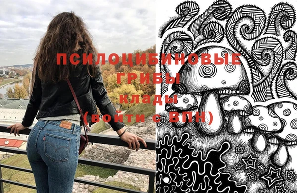 MESCALINE Гусь-Хрустальный