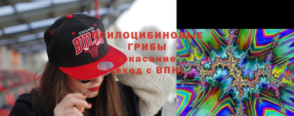 a pvp Дмитровск