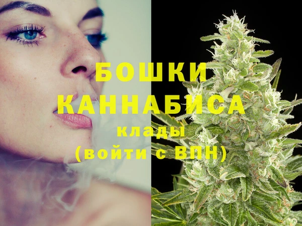 MESCALINE Гусь-Хрустальный