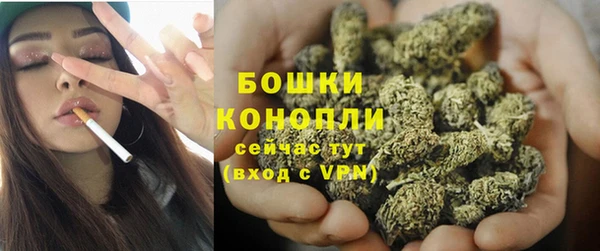 apvp Дмитриев