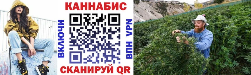 Купить Ахтырский Канабис гибрид